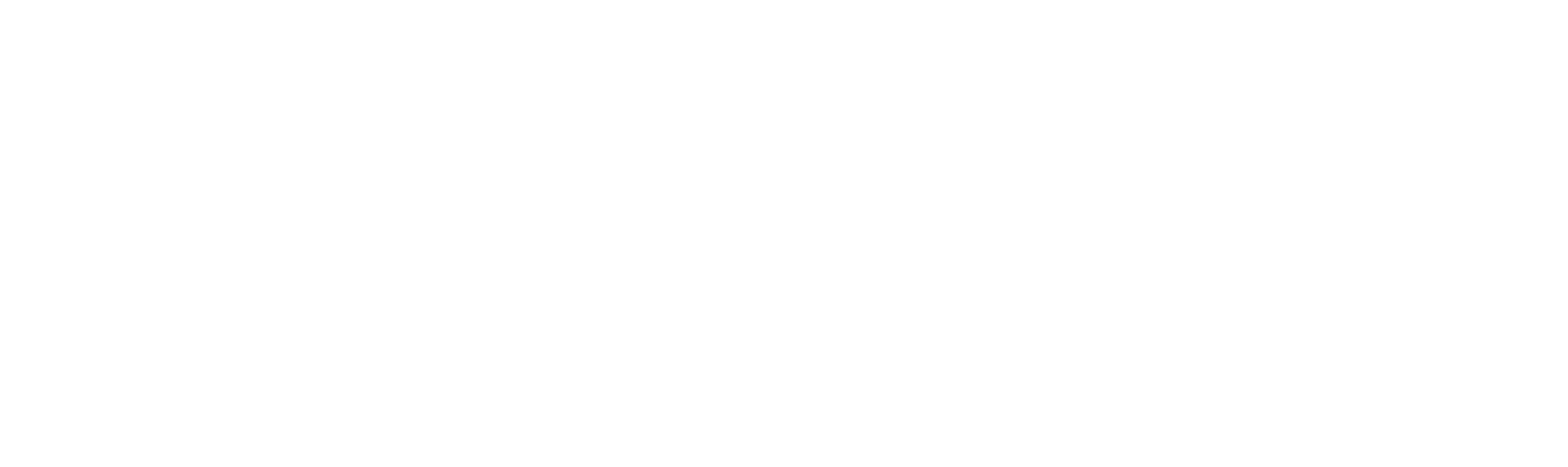 Logo blanc prépa prévision