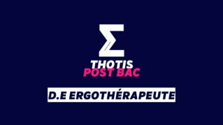 D.E Ergothérapeute