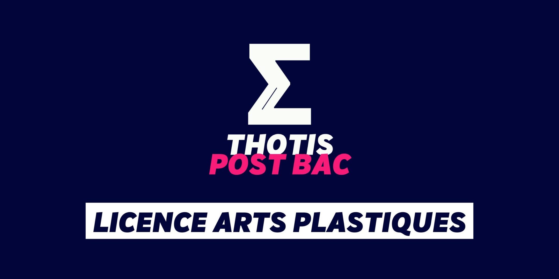 Licence Arts plastiques