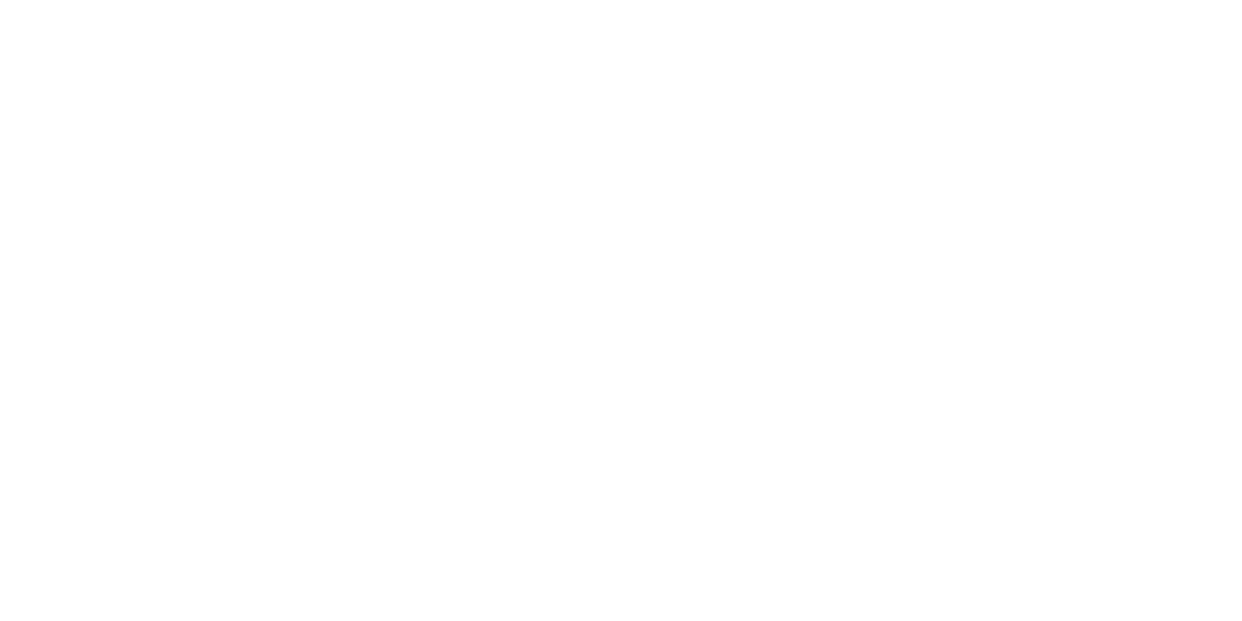 Logo Efrei Blanc