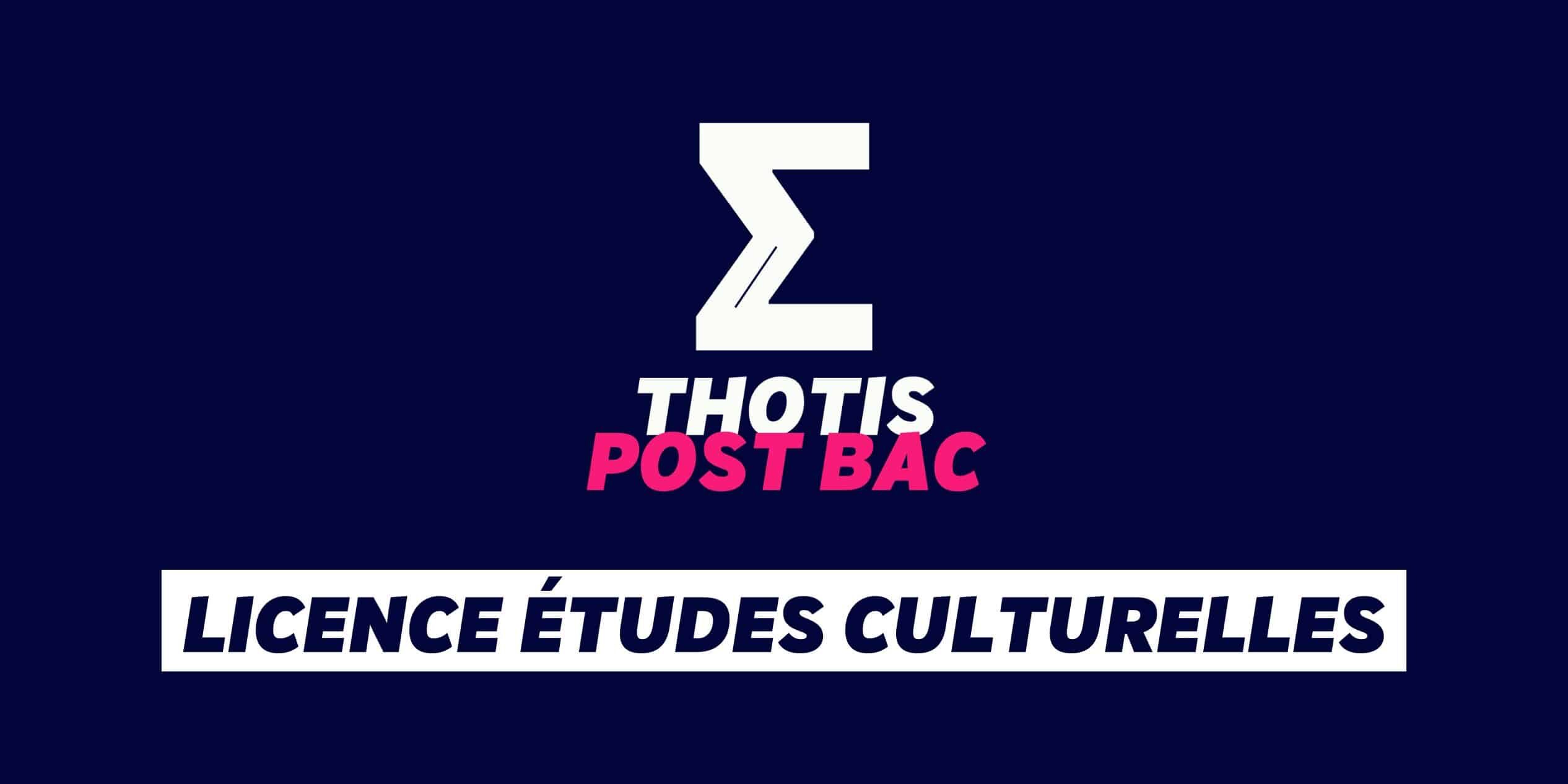 Licence études culturelles