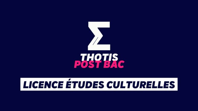 Licence études culturelles