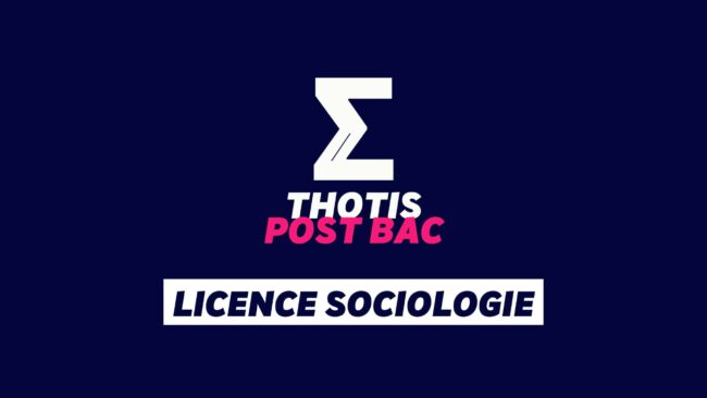 Licence Sociologie